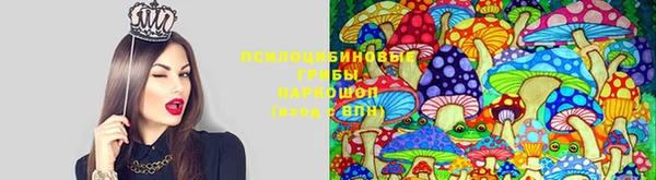 молекула духа Богородск