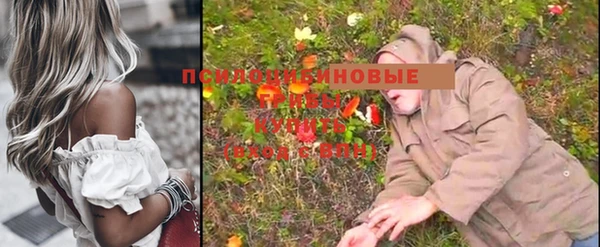молекула духа Богородск
