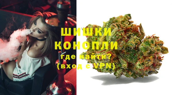 крисы Богданович