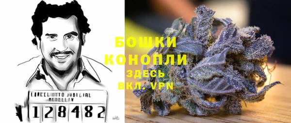 амф Бронницы