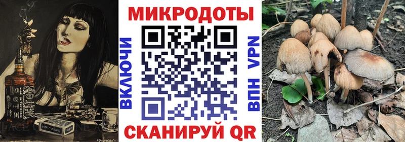 Псилоцибиновые грибы прущие грибы  Купить закладки  Белокуриха 