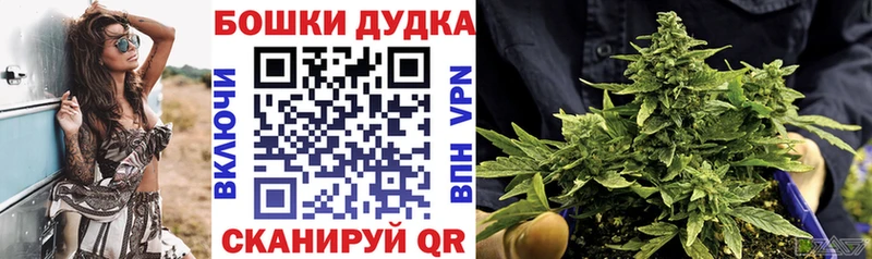 Купить  Белокуриха  Шишки марихуана планчик 